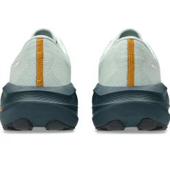 Asics Løbesko|Løbesko-Novablast 5 TR Løbesko, Herre  Nature Bathning/Lichen Rock