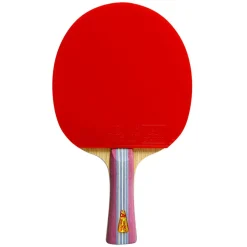 Double Fish Bordtennisbat-1A+ Bordtennisbat