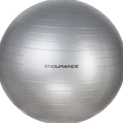 Endurance Træningsudstyr-Gym Ball 65 cm