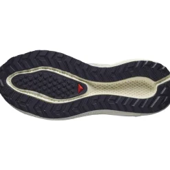 Salomon Fodtøj|Løbesko-Aero Blaze 3 GRVL Gore-Tex Løbesko Dame Vanilla Ice / Astral Aura / Lemon