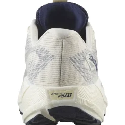 Salomon Fodtøj|Løbesko-Aero Blaze 3 GRVL Gore-Tex Løbesko Dame Vanilla Ice / Astral Aura / Lemon