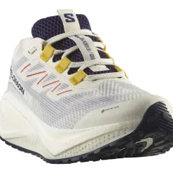 Salomon Fodtøj|Løbesko-Aero Blaze 3 GRVL Gore-Tex Løbesko Dame Vanilla Ice / Astral Aura / Lemon