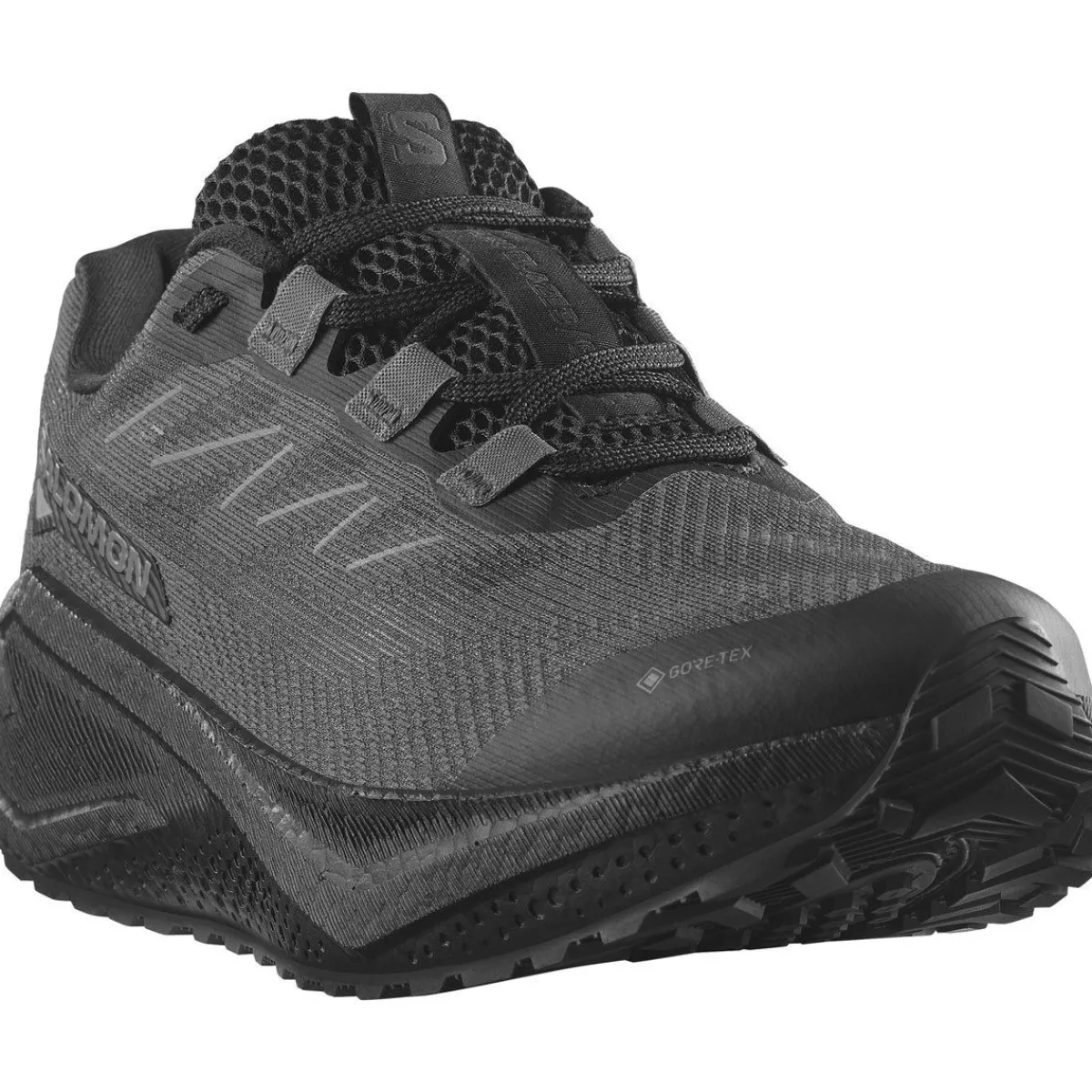 Salomon Fodtøj|Løbesko-Aero Blaze 3 GRVL Gore-Tex Løbesko Herre Black / Asphalt