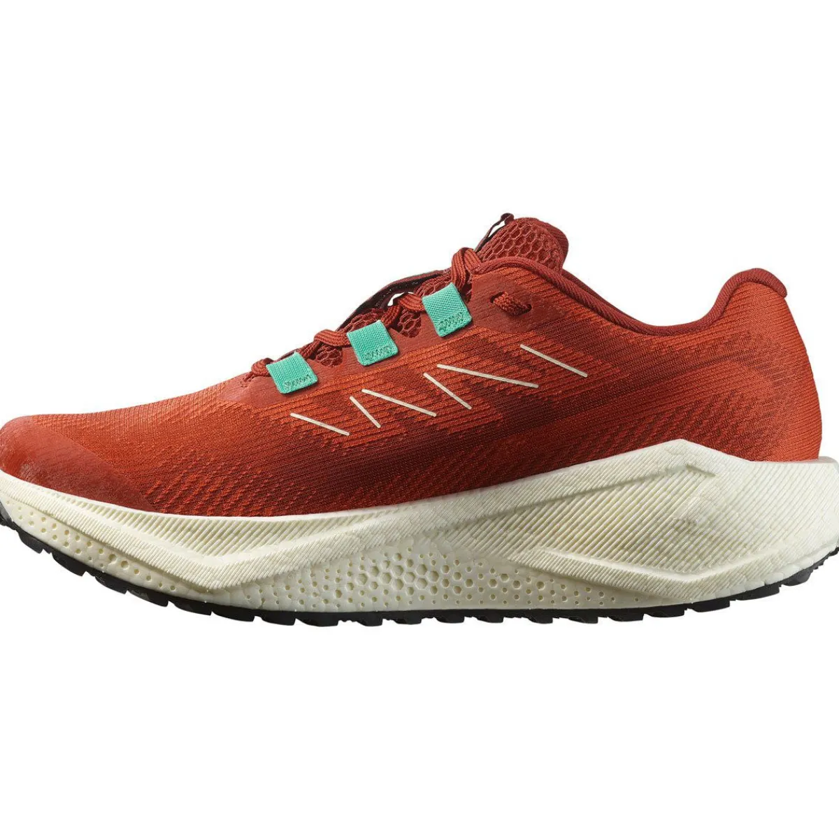 Salomon Løbesko|Løbesko-Aero Blaze 3 GRVL Løbesko Dame Burnt Ochre / Vanilla Ice