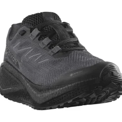 Salomon Fodtøj|Løbesko-Aero Blaze 3 GRVL Gore-Tex Løbesko Dame  Black / Asphalt