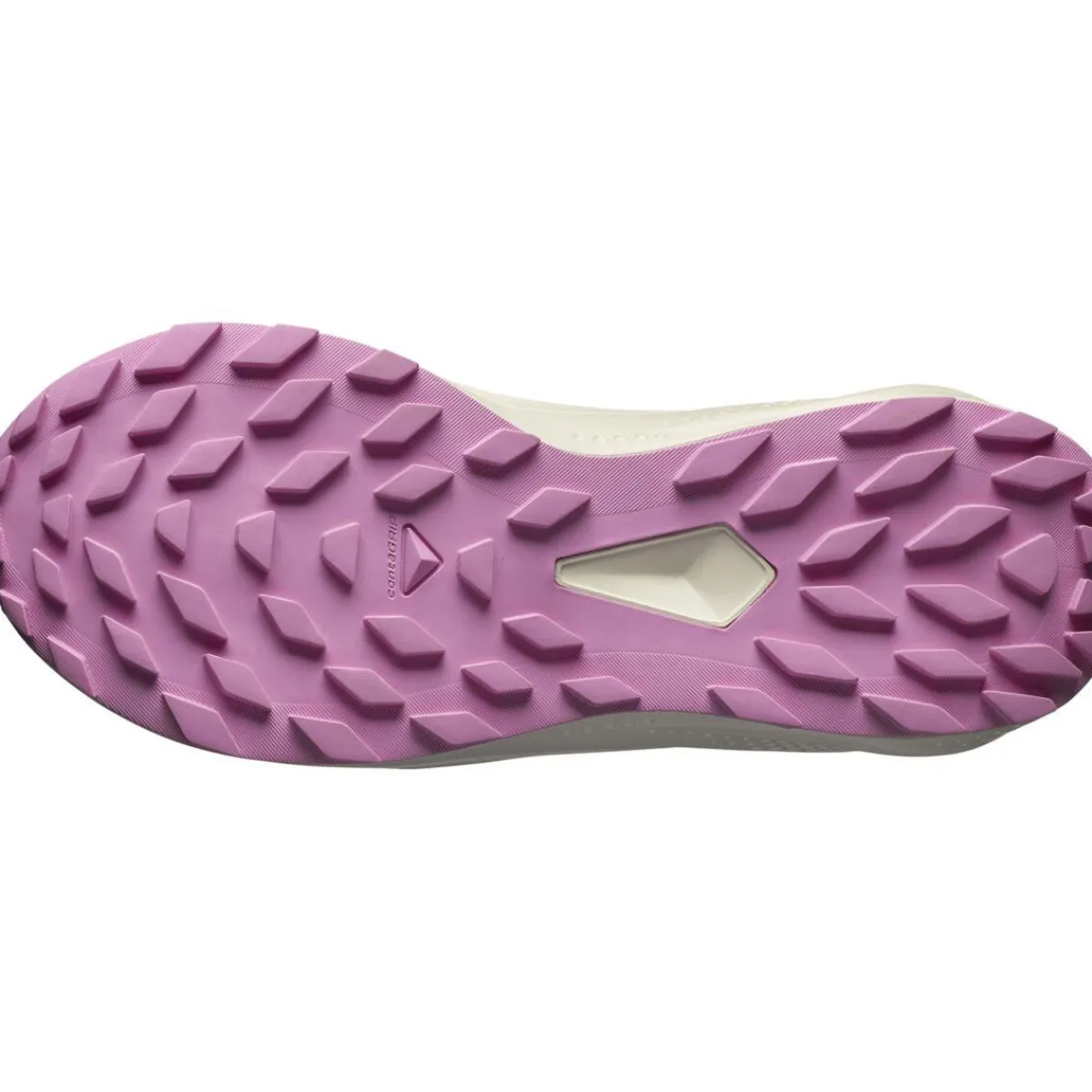 Salomon Fodtøj|Løbesko-Alphaglide Gore-Tex Vandresko Dame