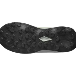 Salomon Fodtøj|Løbesko-Ultra Flow 2 Løbesko Herre  Wrought Iron / Metal / Incaberry 