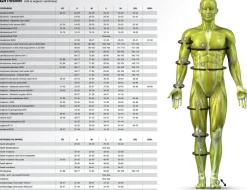 Select Støtte Og Bandager|Sportsstøtte-Profcare 6100 Ankelbind
